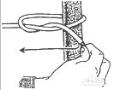 用单结将绳子绑在柱子(或大树)上.图示