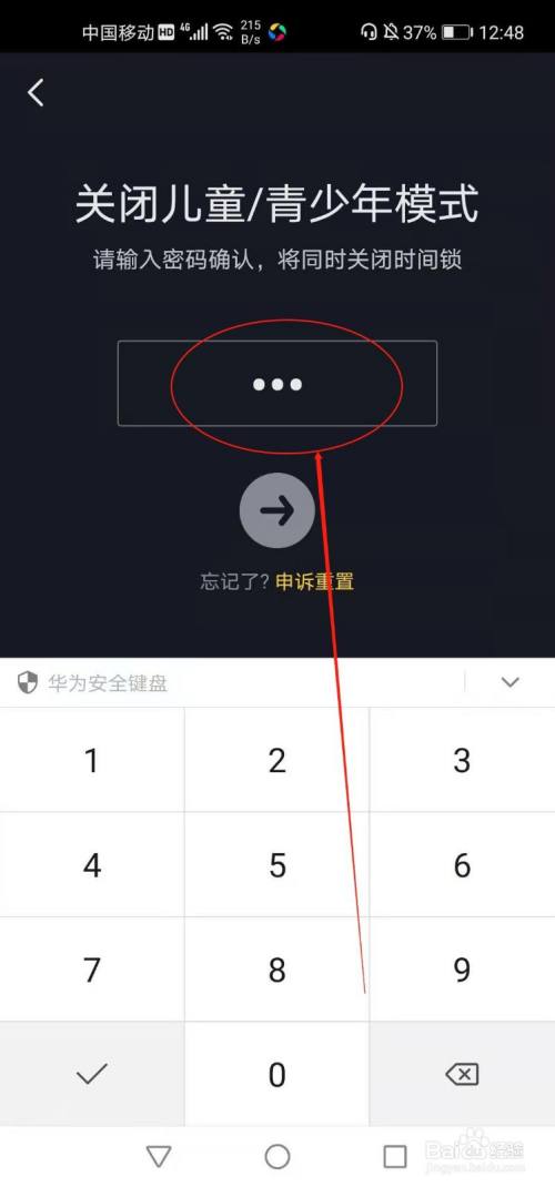如图所示,输入密码即可.