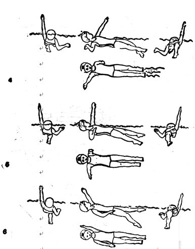 一般游仰泳的新手,遵守着手入水时用鼻呼气,手出水时用嘴吸气的规律