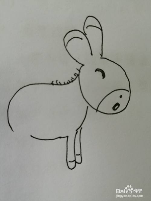 第六步,接着我们把可爱的小毛驴的四条腿画出来,画法比较简单.