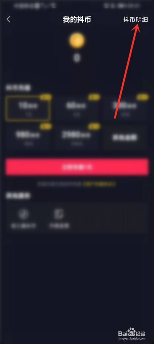 抖音的抖币明细在哪里看