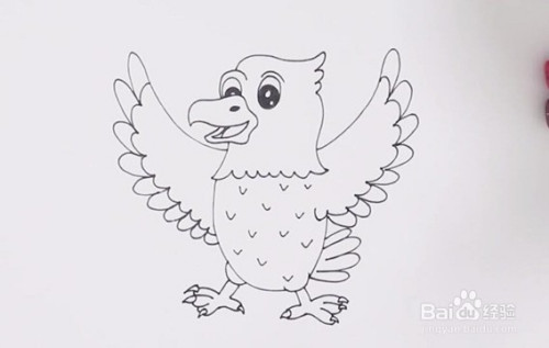 简笔画系列-怎么画可爱的老鹰简笔画