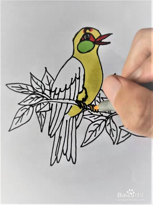 野生黄鹂鸟怎么画