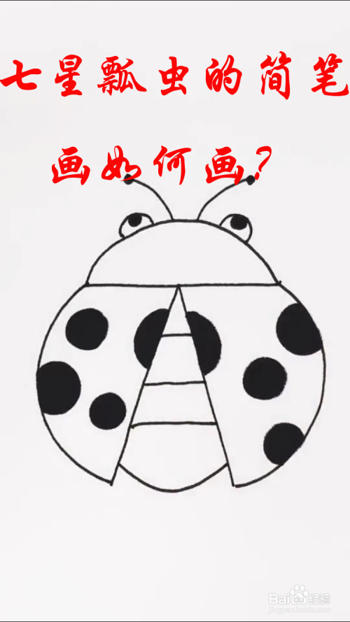 七星瓢虫的简笔画如何画?