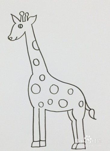 简笔画系列-怎么画长颈鹿