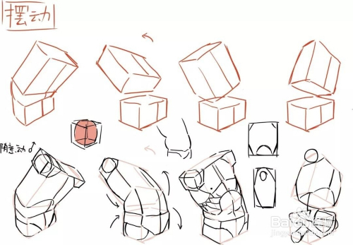 【精品】初学者怎么画人体结构