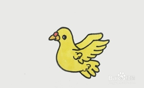 简笔画系列-5岁画简单鸽子