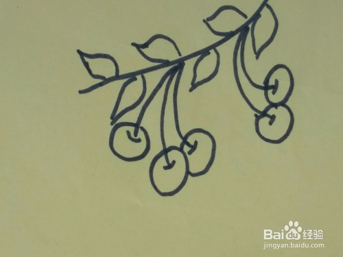 一串小樱桃简笔画