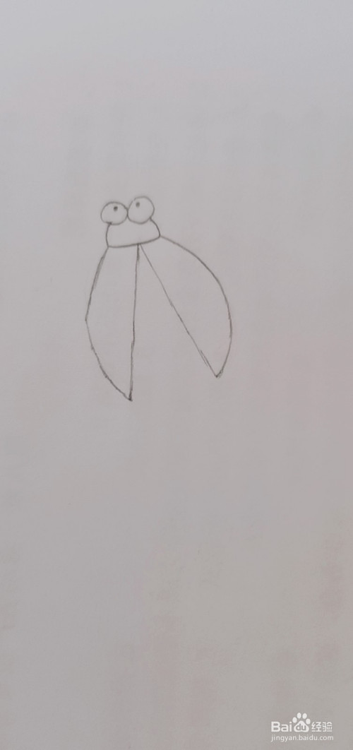简笔画萤火虫怎么画