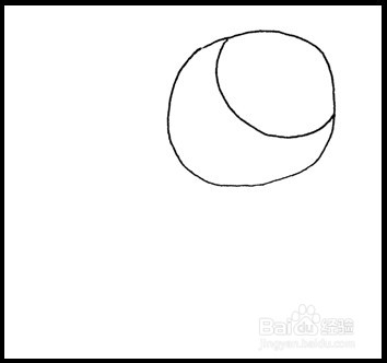 怎样画简笔画(花卉):[3]玫瑰2
