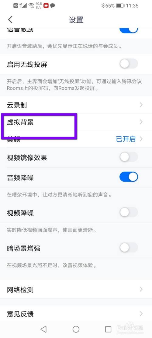 在设置里面选择虚拟背景.