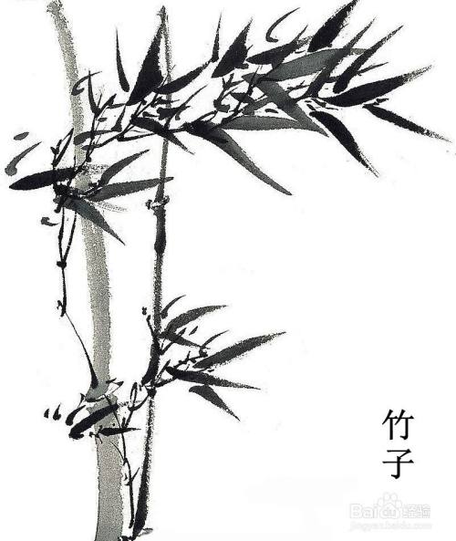 第四步,最后我们给画作配上竹子的文字,国画竹子就画好了.