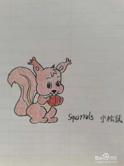 可爱的小松鼠怎么画