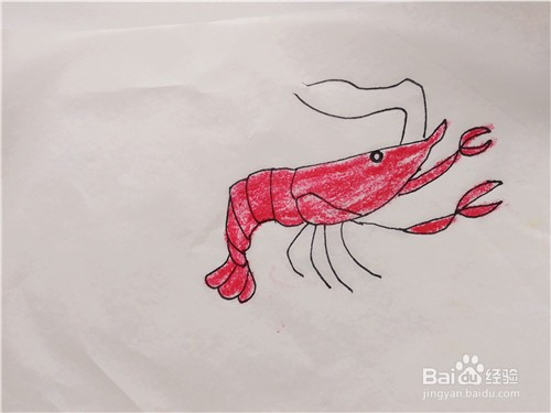 少儿简笔画教程—怎么样一笔一笔画出小龙虾?