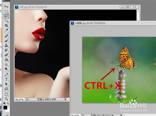 photoshop软件中如何制作蝴蝶停在手上的效果?