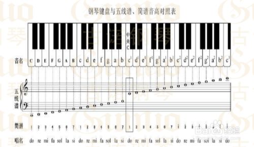 钢琴键盘与五线谱,简谱音高对照表
