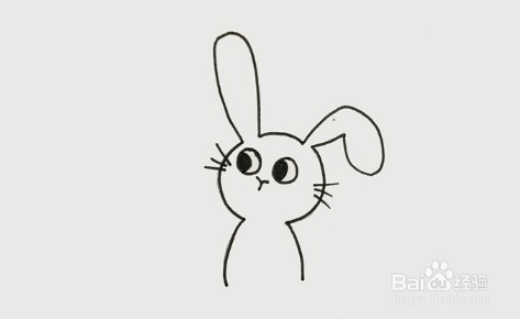 简笔画系列-小白兔怎么画简单好看