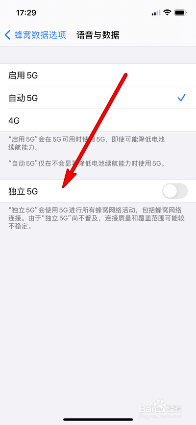 iphone12pro max独立5g在哪设置