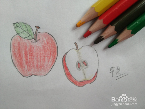 简笔画——怎么画苹果