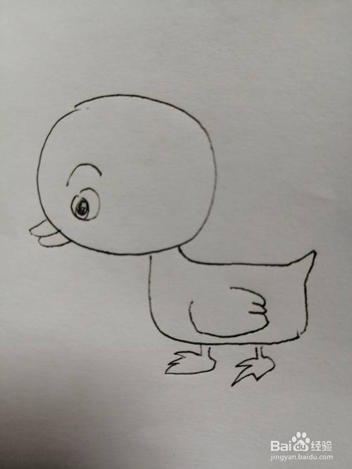 下面,小编和小朋友们一起来分享可爱的小鸭子的画法.