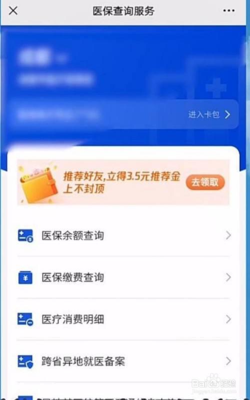 点击医保余额查询 进入"医保个人服务查询"后,在页面里点击"医保