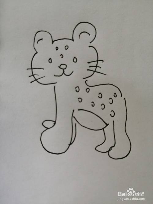 可爱的小豹子怎么画