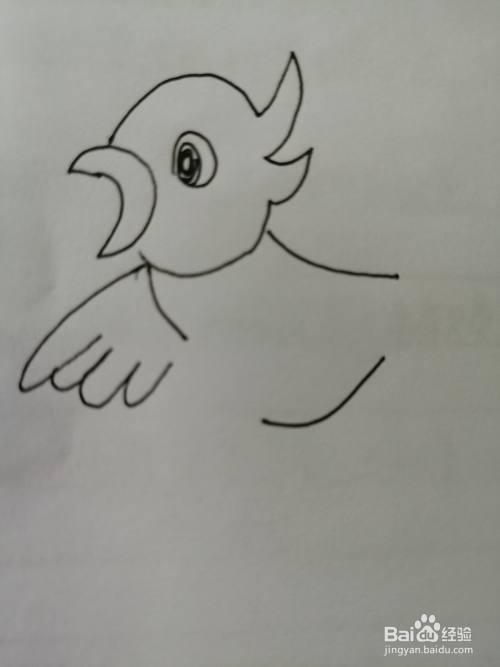 第五步,然后把可爱的小鸟的一只翅膀画出来,注意翅膀纹路的画法.