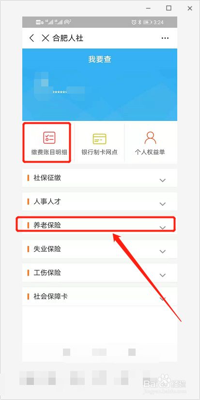 安徽养老保险怎么查询个人账户