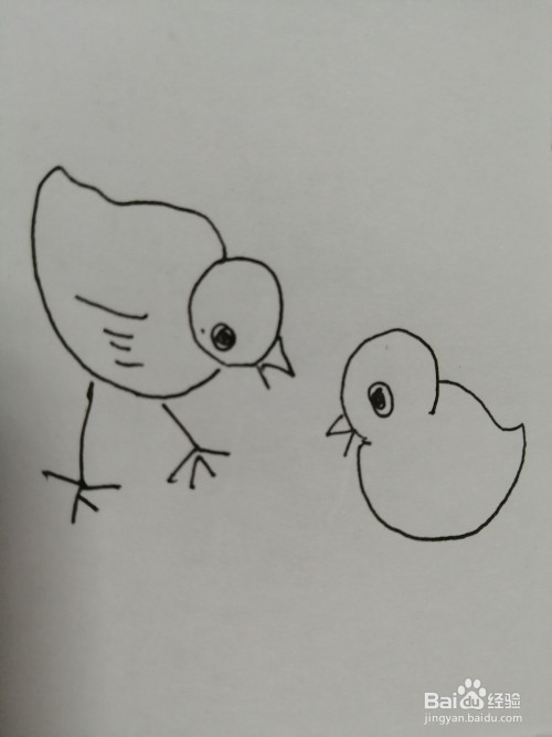 第六步,接着继续把简笔画右边的可爱的小鸡的身体和翅膀部分画出来.