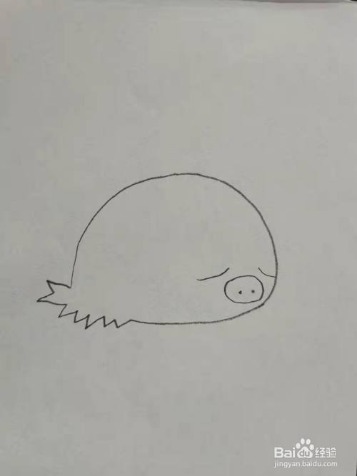 小山猪怎么画