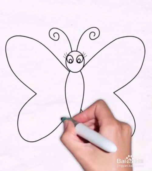 手工/爱好 书画/音乐5 再画出蝴蝶的两只翅膀,如下图所示.