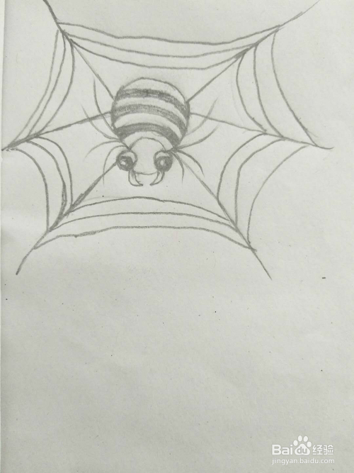 简笔画蜘蛛怎么画呢