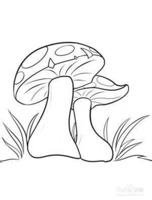 草地蘑菇的简笔画