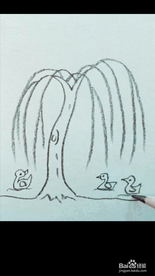 怎么画柳树和小鸭子