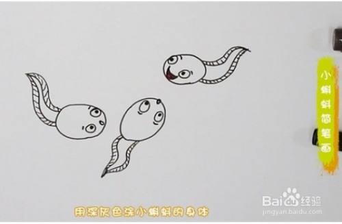 如何画小蝌蚪简笔画