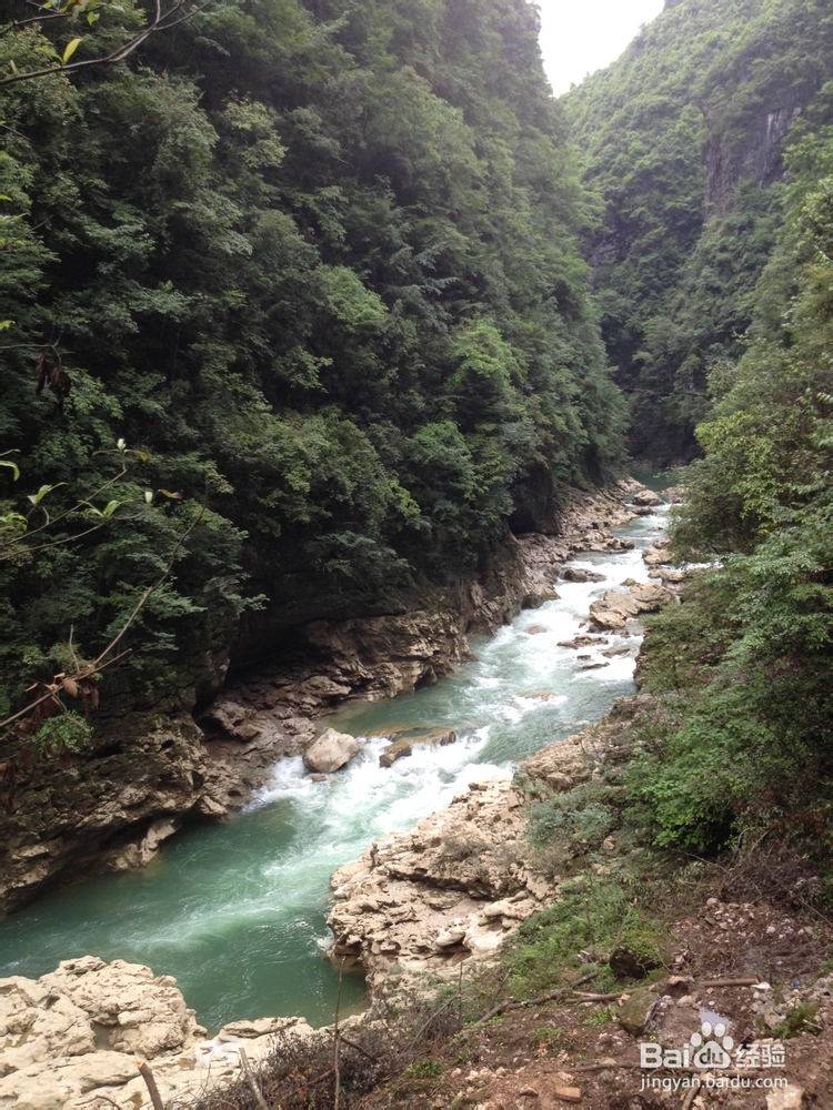 中国西部_峡谷印象_凤凰古城_边的铜仁大峡谷