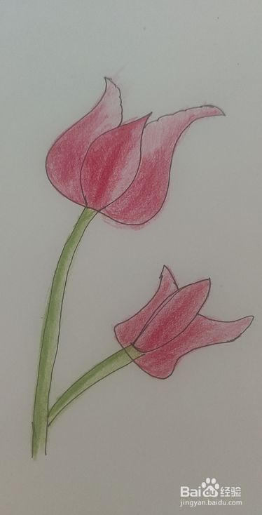 学彩铅画的教程