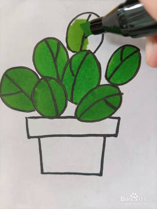 绿色植物的手账图案怎么画?
