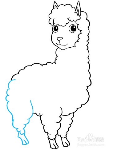怎么画可爱的羊驼?