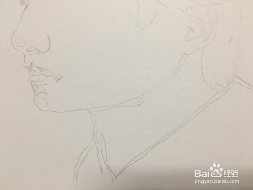 使用铅笔画男子的刘海,耳朵,侧脸轮廓