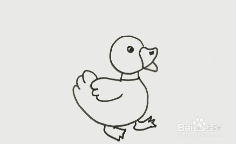 简笔画系列-小鸭子怎么画简单漂亮