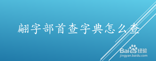 翩字部首查字典怎么查