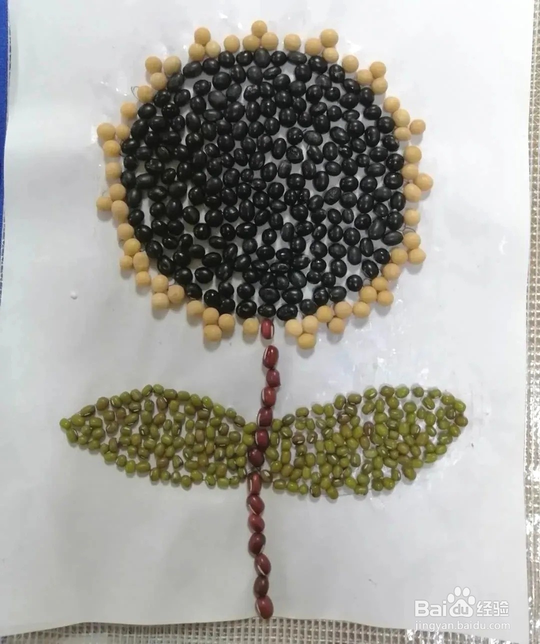 种子做的粘贴画怎么制作