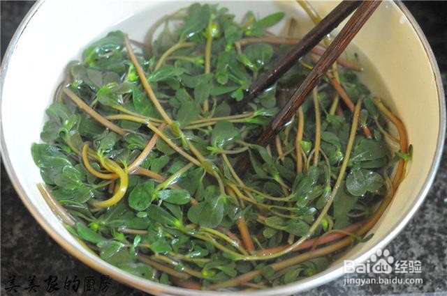 家庭自制凉拌马齿笕