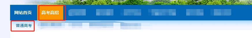 2019年高考成绩查询入口