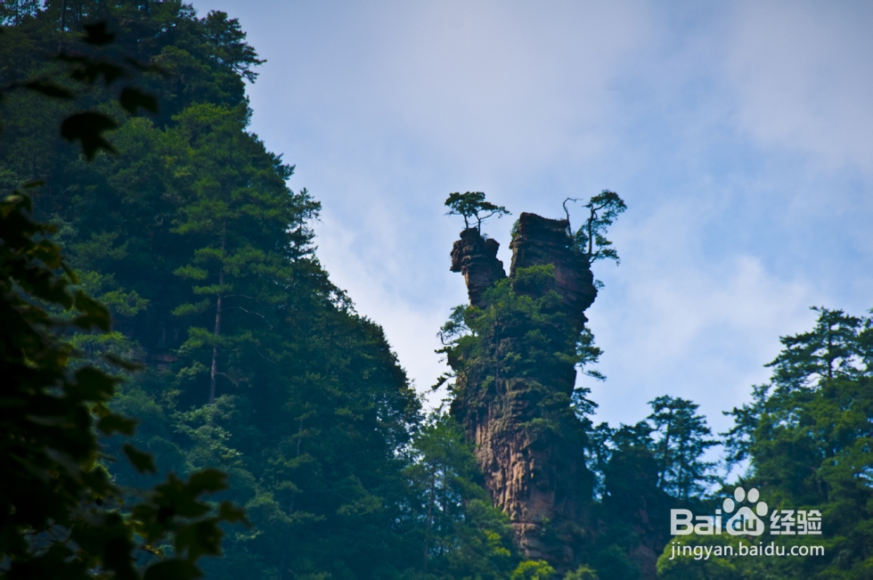 深圳到张家界自驾游