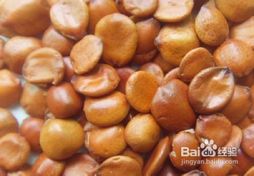 【远离失眠】提高睡眠质量的几种常见食材