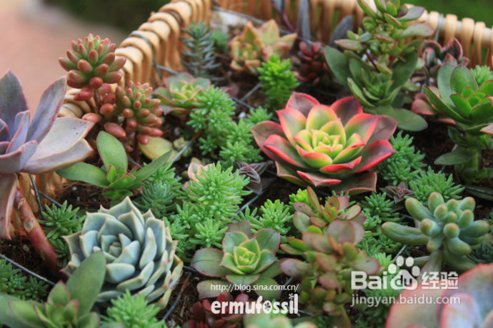 2012年6月23日 记录