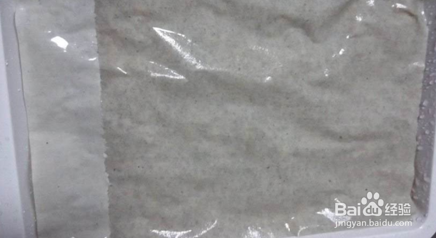 如何在阳台用纸种蔬菜?