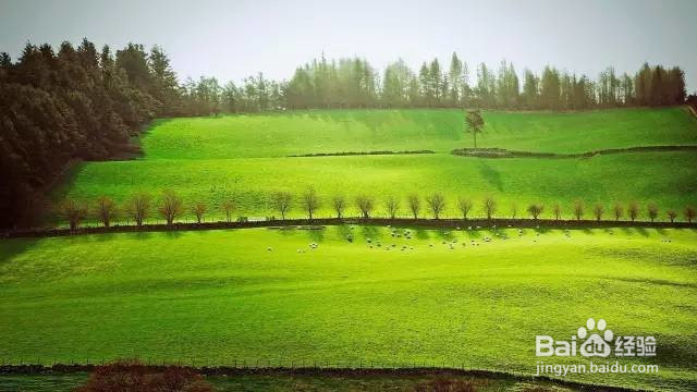 月薪 3000,也能到这个性价比超高的境外地旅行